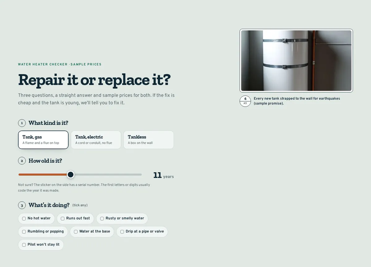 Patina Plumbing Co. sample site: Repair it or replace it?