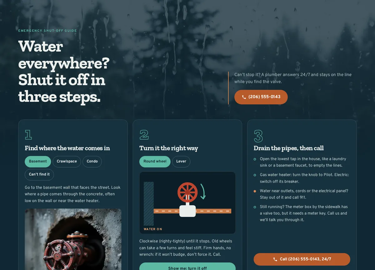 Patina Plumbing Co. sample site: Water everywhere? Three steps